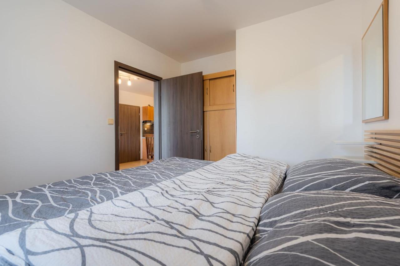 Apartments Nad Rybniky Horní Planá エクステリア 写真