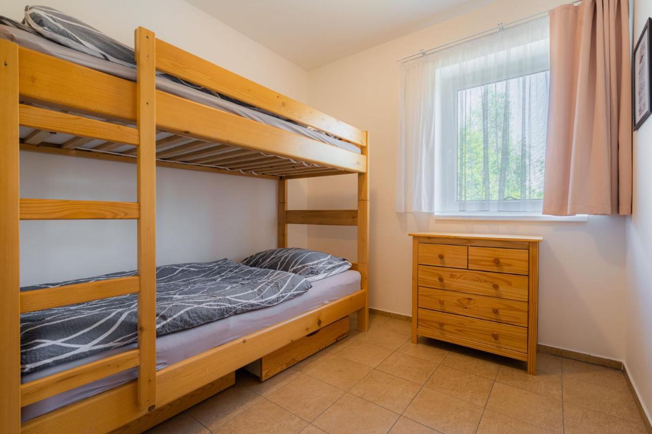 Apartments Nad Rybniky Horní Planá エクステリア 写真