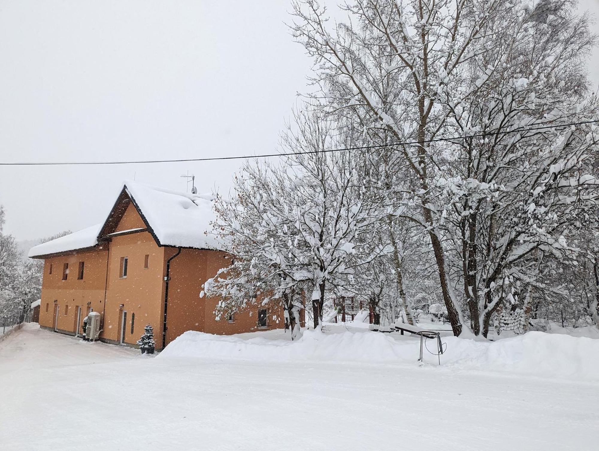 Apartments Nad Rybniky Horní Planá エクステリア 写真